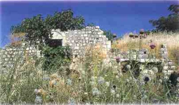 قرية سحماتا / عكا