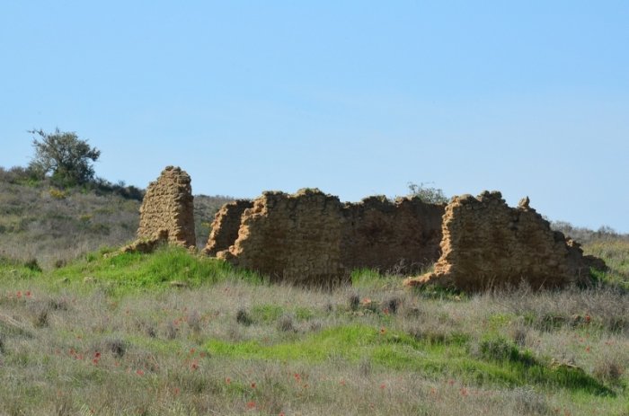 المنصورة  | موسوعة القرى الفلسطينية