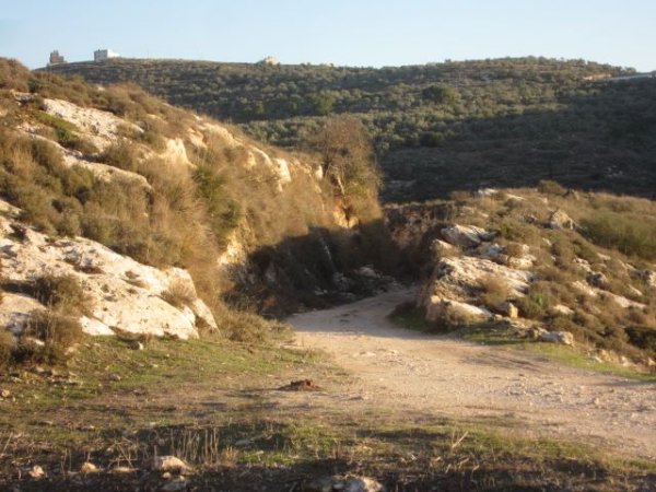  | موسوعة القرى الفلسطينية