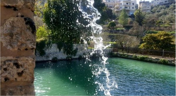 النبعة في قرية بتير