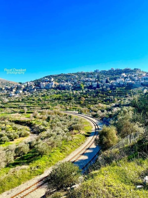  | موسوعة القرى الفلسطينية