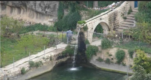 النبعة في قرية بتير