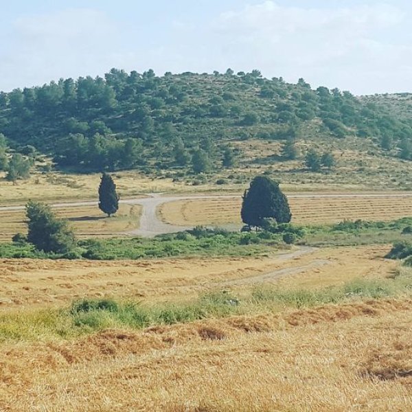  | موسوعة القرى الفلسطينية