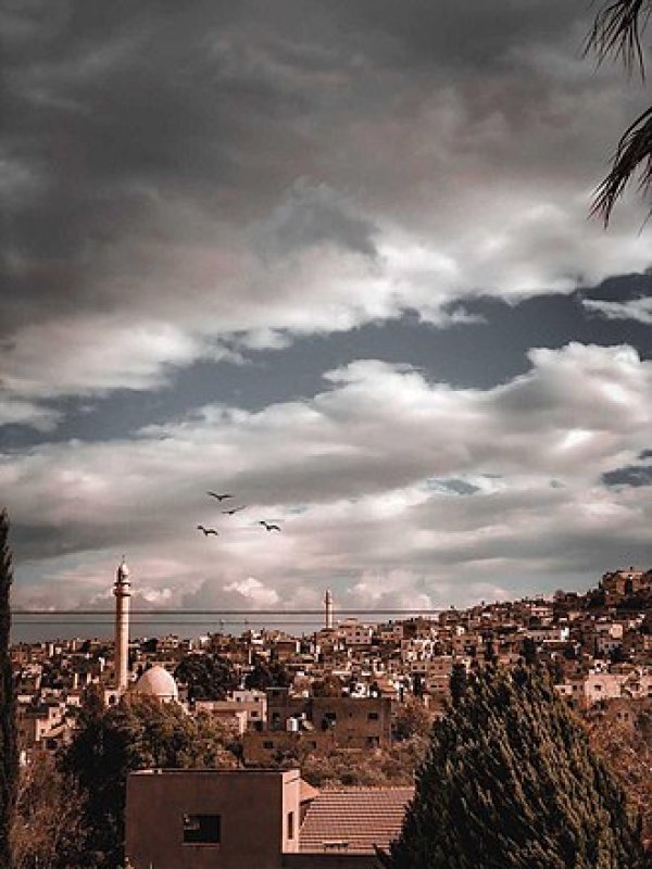  | موسوعة القرى الفلسطينية