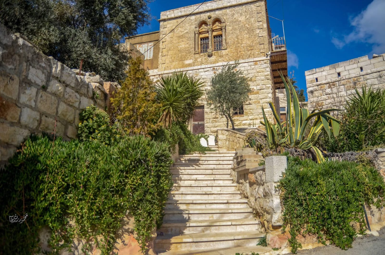 الطيبة – رام الله  تصوير : محمود معطان ، موسوعة القرى الفلسطينية