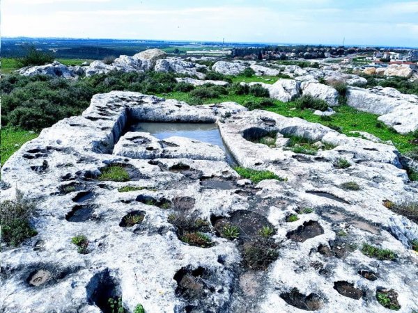 من أراضي قرية عمقا