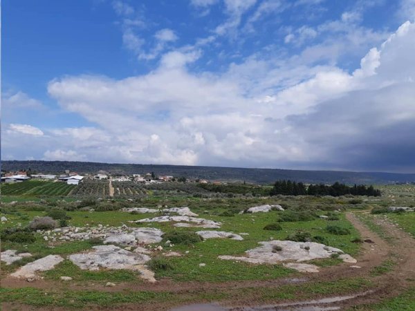 من أراضي قرية عمقا