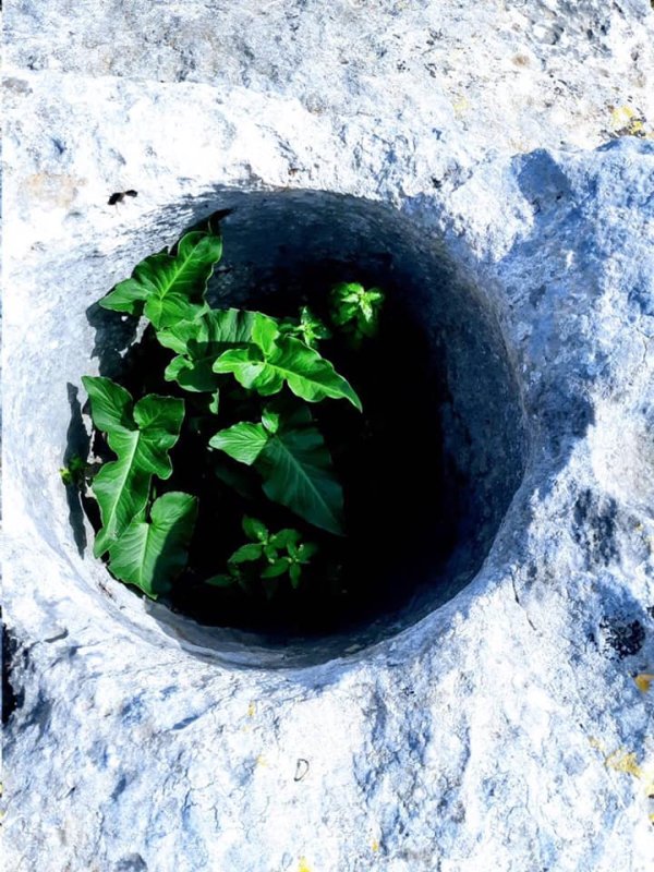 من أراضي قرية عمقا