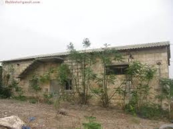 مسجد قرية عمقا