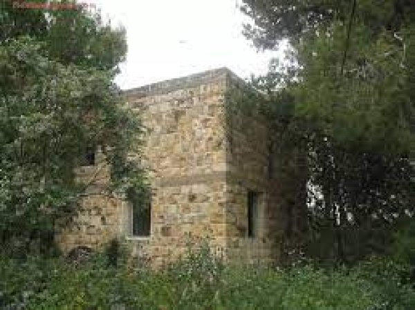 من أراضي قرية عمقا