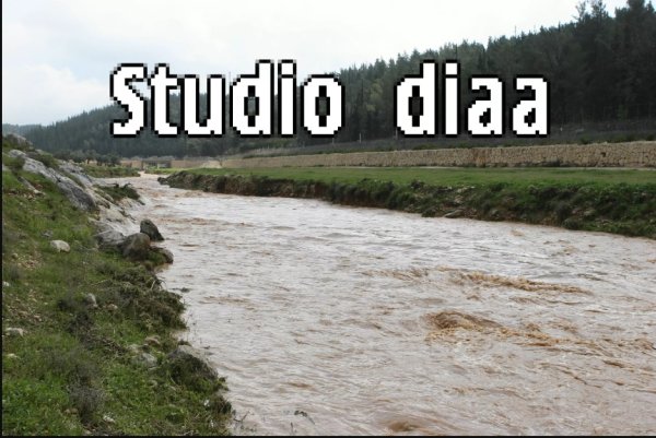 وادي قرية المدية