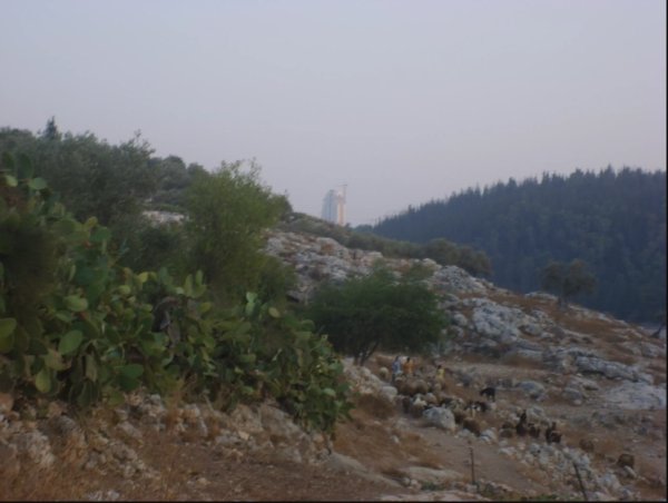  | موسوعة القرى الفلسطينية