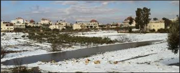 المزرعة الشرقية