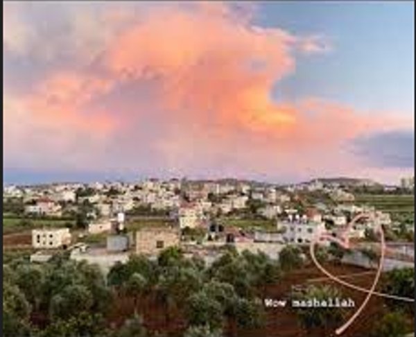 المزرعة الشرقية