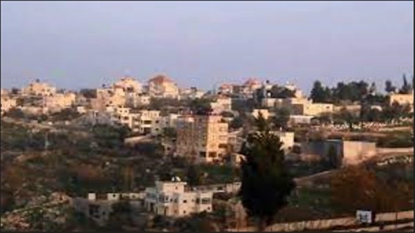 المزرعة الشرقية