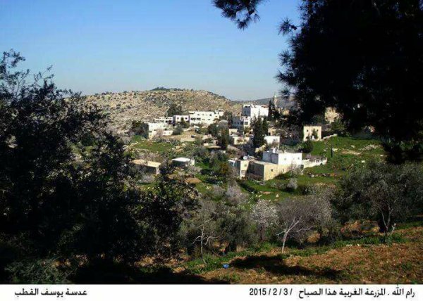 المزرعة القبلية