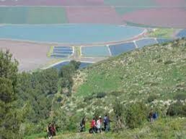  | موسوعة القرى الفلسطينية