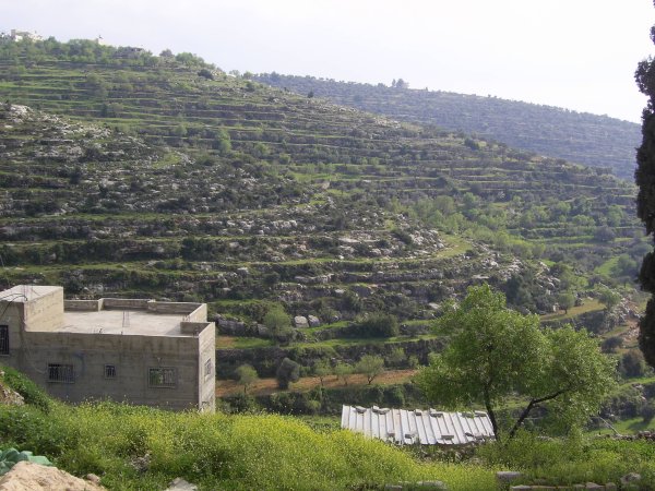 قرية مزارع النوباني