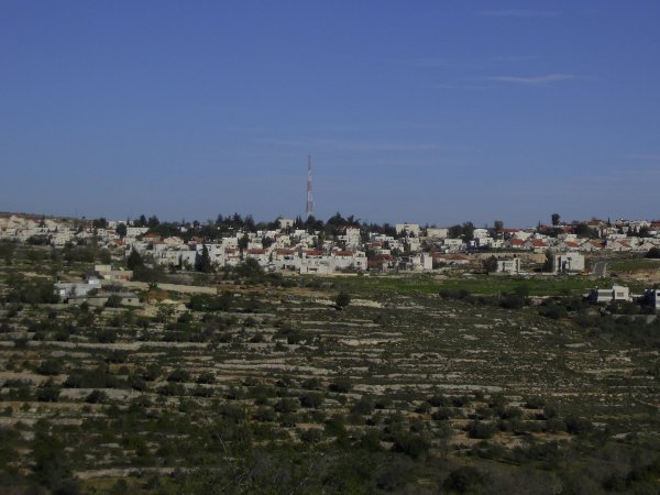 قرية مزارع النوباني