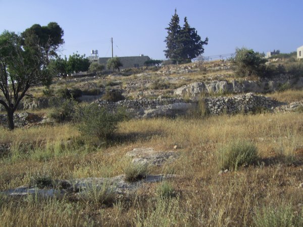 قرية مزارع النوباني