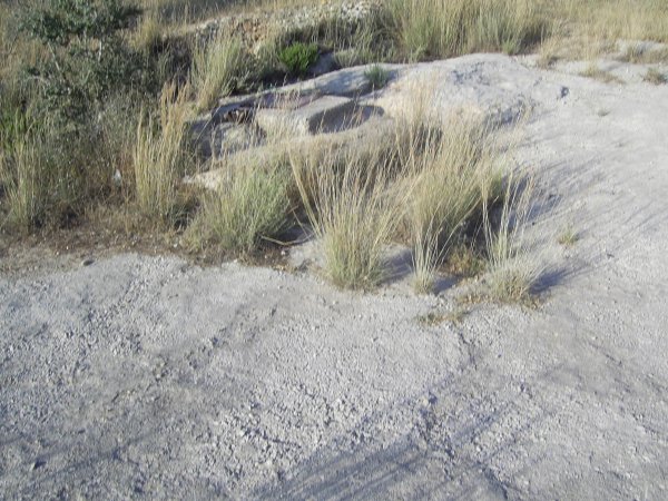 قرية مزارع النوباني