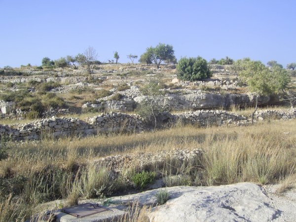 قرية مزارع النوباني