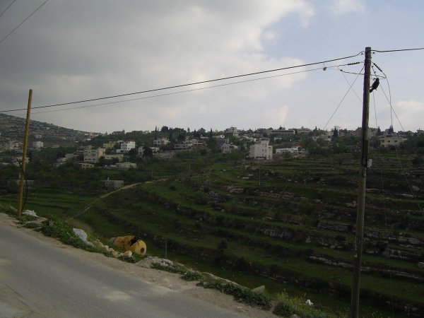 قرية مزارع النوباني