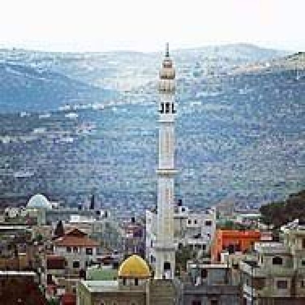 قرية مزارع النوباني