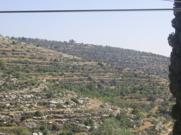 قرية مزارع النوباني