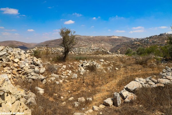 قرية كفر عانا ، بعدسة واجد النوباني
