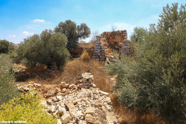 قرية كفر عانا ، بعدسة واجد النوباني