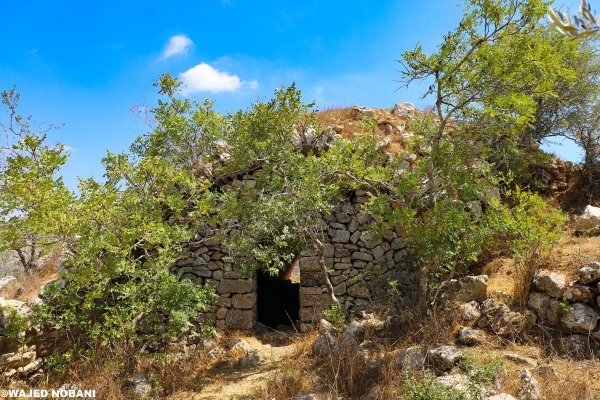 قرية كفر عانا ، بعدسة واجد النوباني