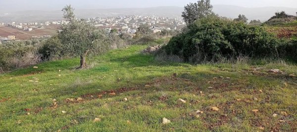  | موسوعة القرى الفلسطينية