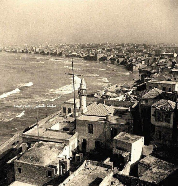 يافا | موسوعة القرى الفلسطينية