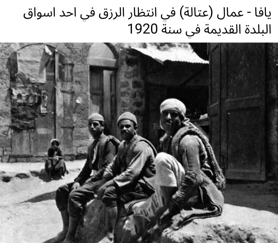 يافا | موسوعة القرى الفلسطينية