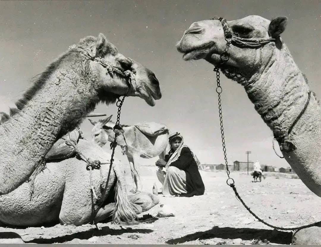 بئر السبع | موسوعة القرى الفلسطينية