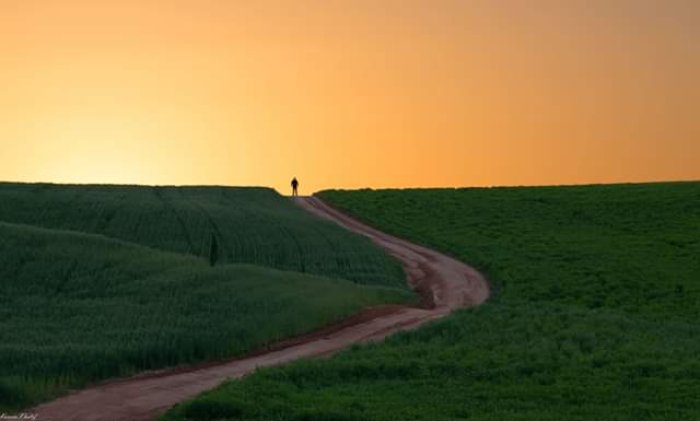 الجَمّامَة