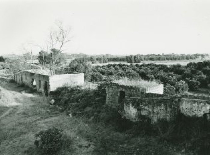 بيارة حنون
