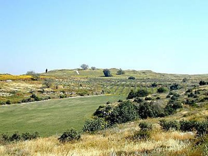 أبو شوشة/ الرملة