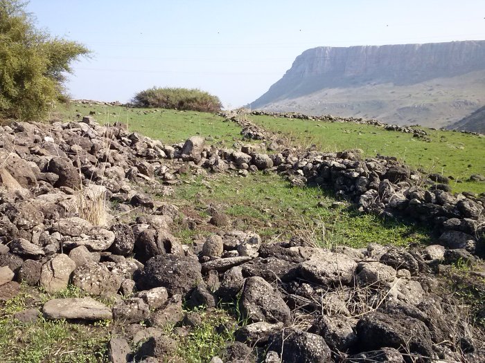 الوعرة السوداء/ عرب المواسي والوهيب