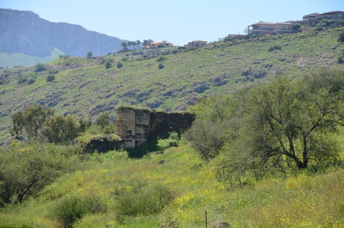 غُويّر أبو شوشة/ غور أبو شوشة