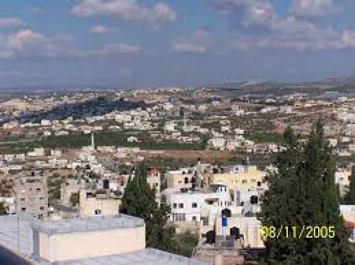 فرعون