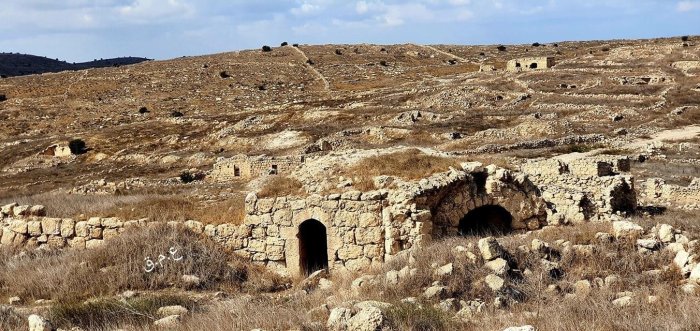 دير محيسن/ الرملة